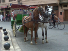 Morrocco 201